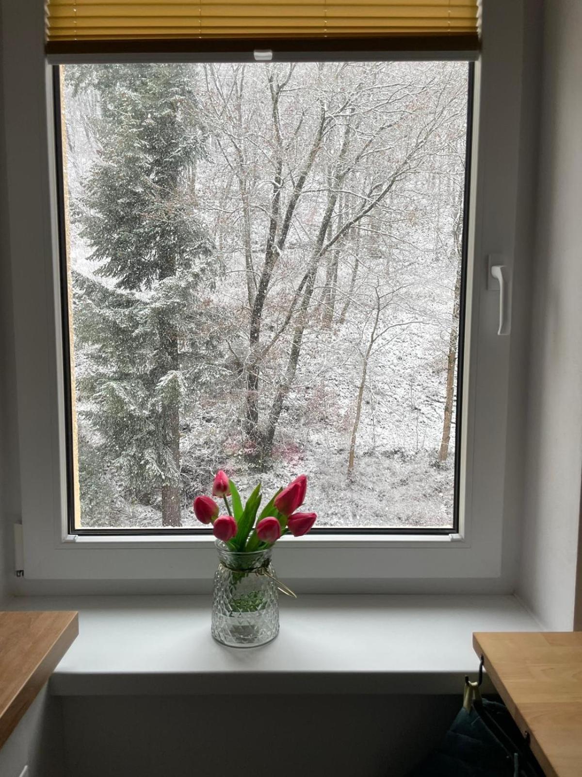 Apartman Claudia - Rezidence K Lanovce Jáchymov Exteriér fotografie